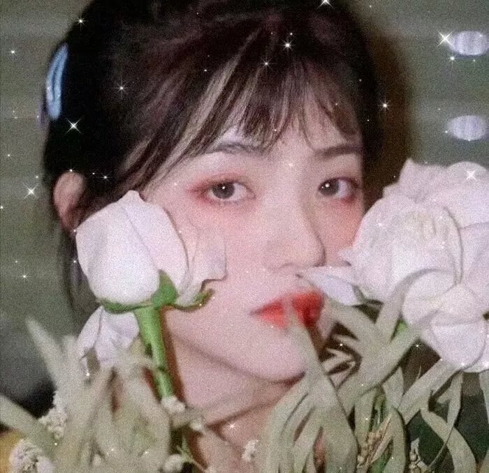 盛宠娇妻